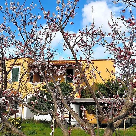 La Marticana