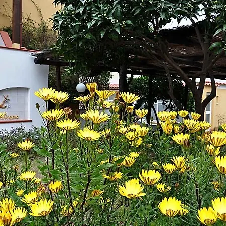 Hotel La Marticana 3*