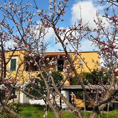 La Marticana מלון איסקיה