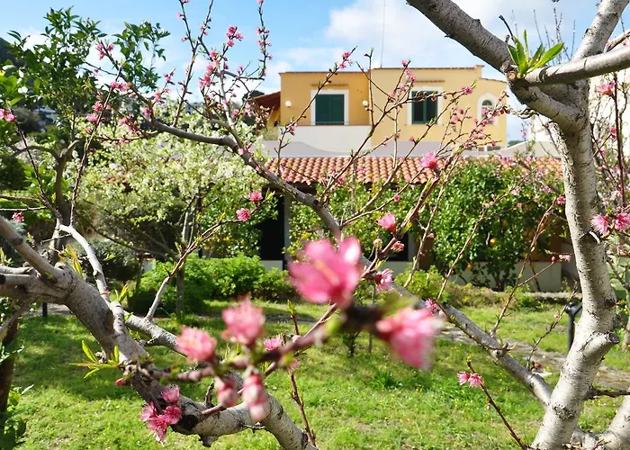 La Marticana 3*